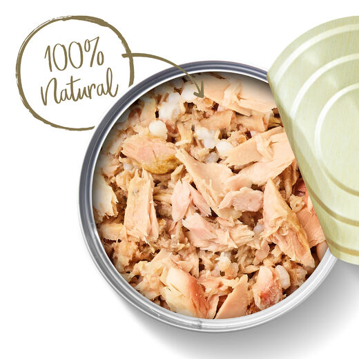 Applaws Adult Ocean Fish 70 g