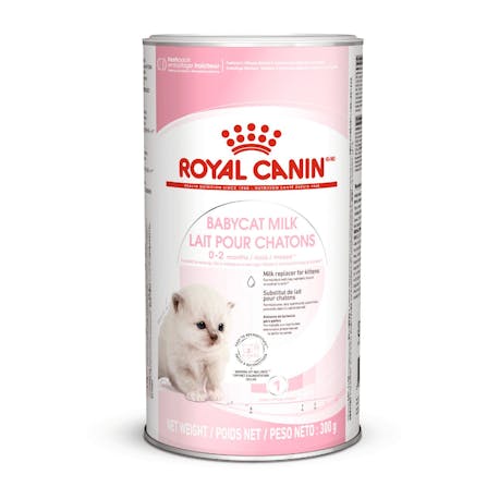 Royal Canin Babycat Milk 300 g för kattungar