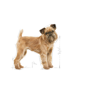 Royal Canin Dental Care Mini Dog Dry Food 3 kg