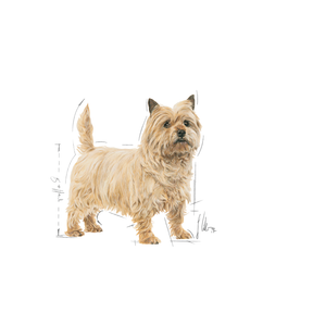 Royal Canin Light Weight Care Mini 8 kg för hundar