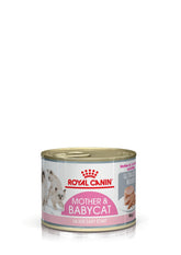 Royal Canin Mother & Babycat Mousse 12 x 195 g