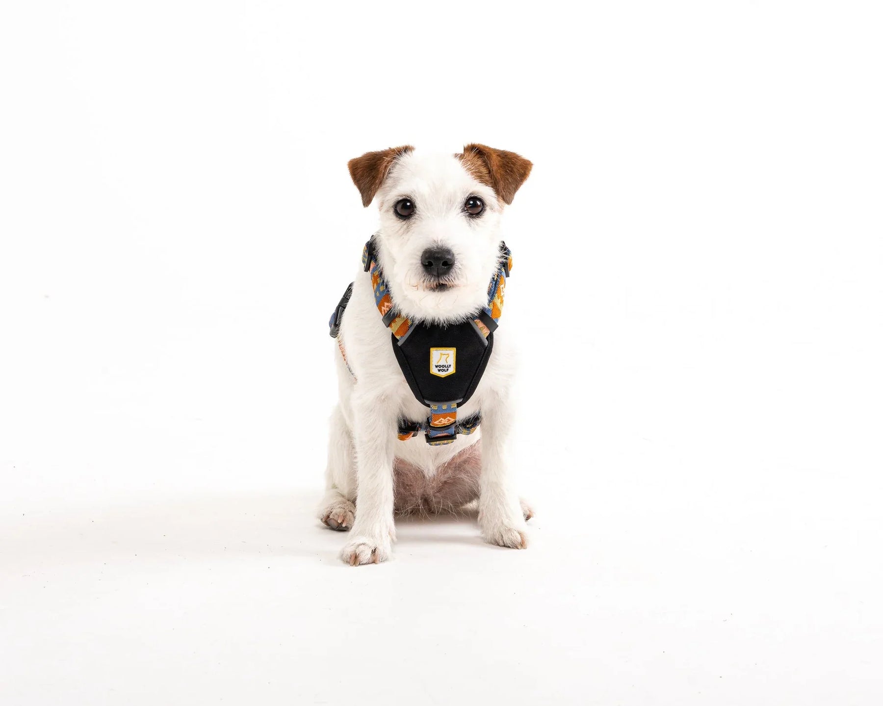 Woolly Wolf Nightless Night Dog Harness