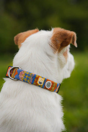 Woolly Wolf Nightless Night Halsband för Hund