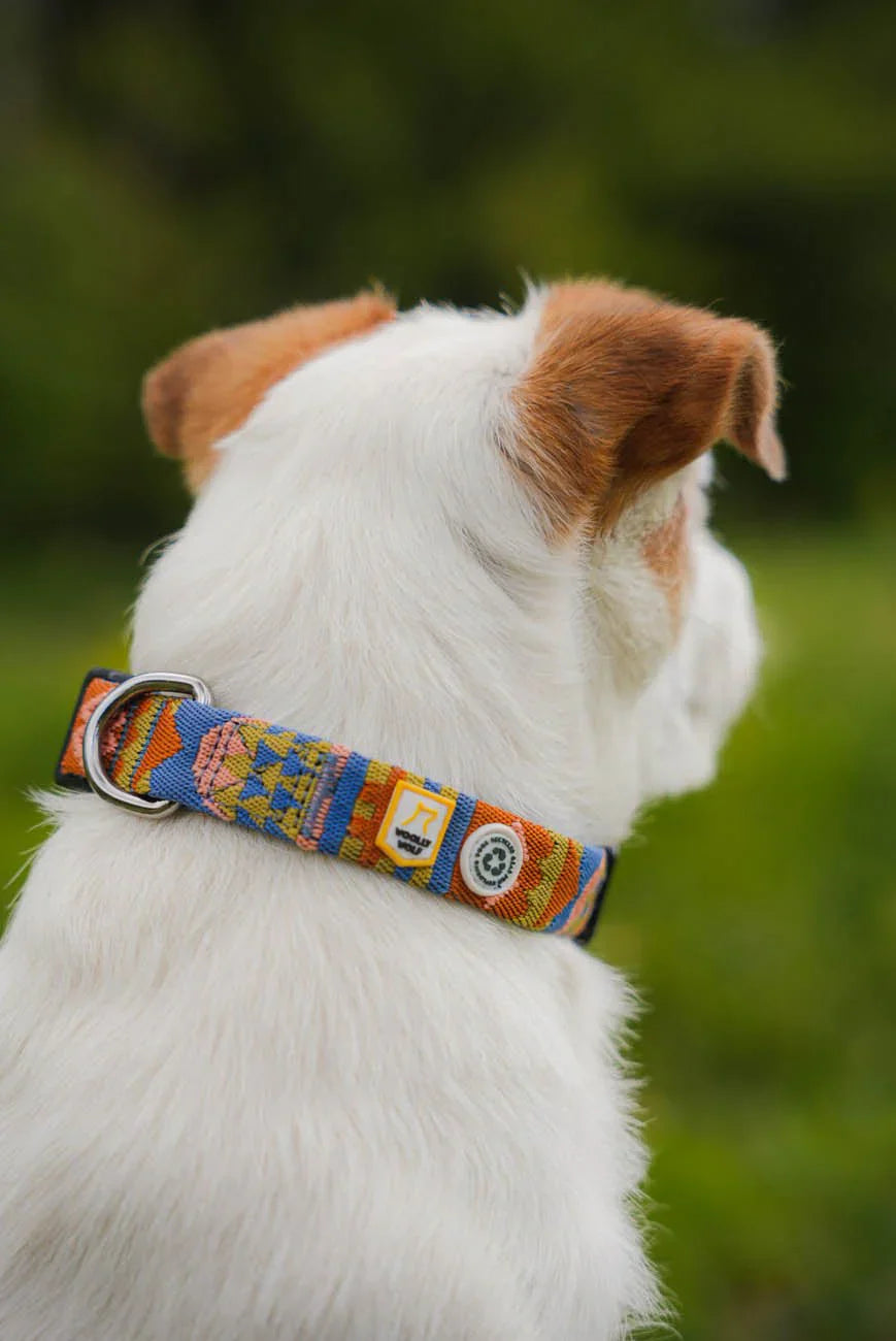 Woolly Wolf Nightless Night Halsband för Hund