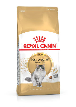 Royal Canin Norwegian Forest Cat Adult dry cat food 10 kg