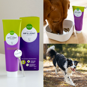 Nutrolin Hip & Joint paste för Hund och Katt 200 g