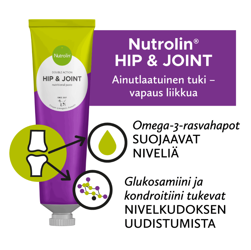 Nutrolin Hip & Joint omegapasta 3 x 200 g för hund SUPERPRIS