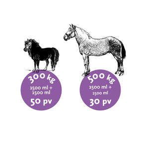 Nutrolin Horse Joint Duo 3000 ml