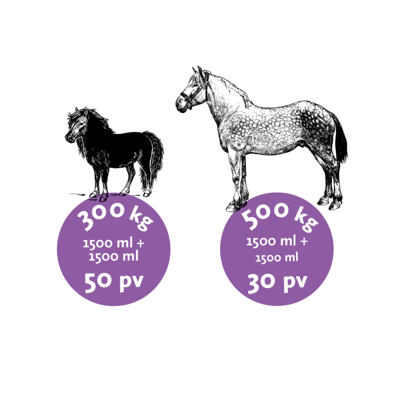 Nutrolin Horse Joint Duo 3000 ml