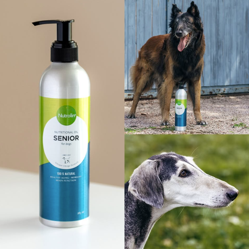 Nutrolin Senior Hund