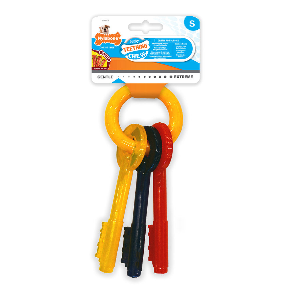 Nylabone Puppy Teething Keys tuggleksak bacon för valpar S