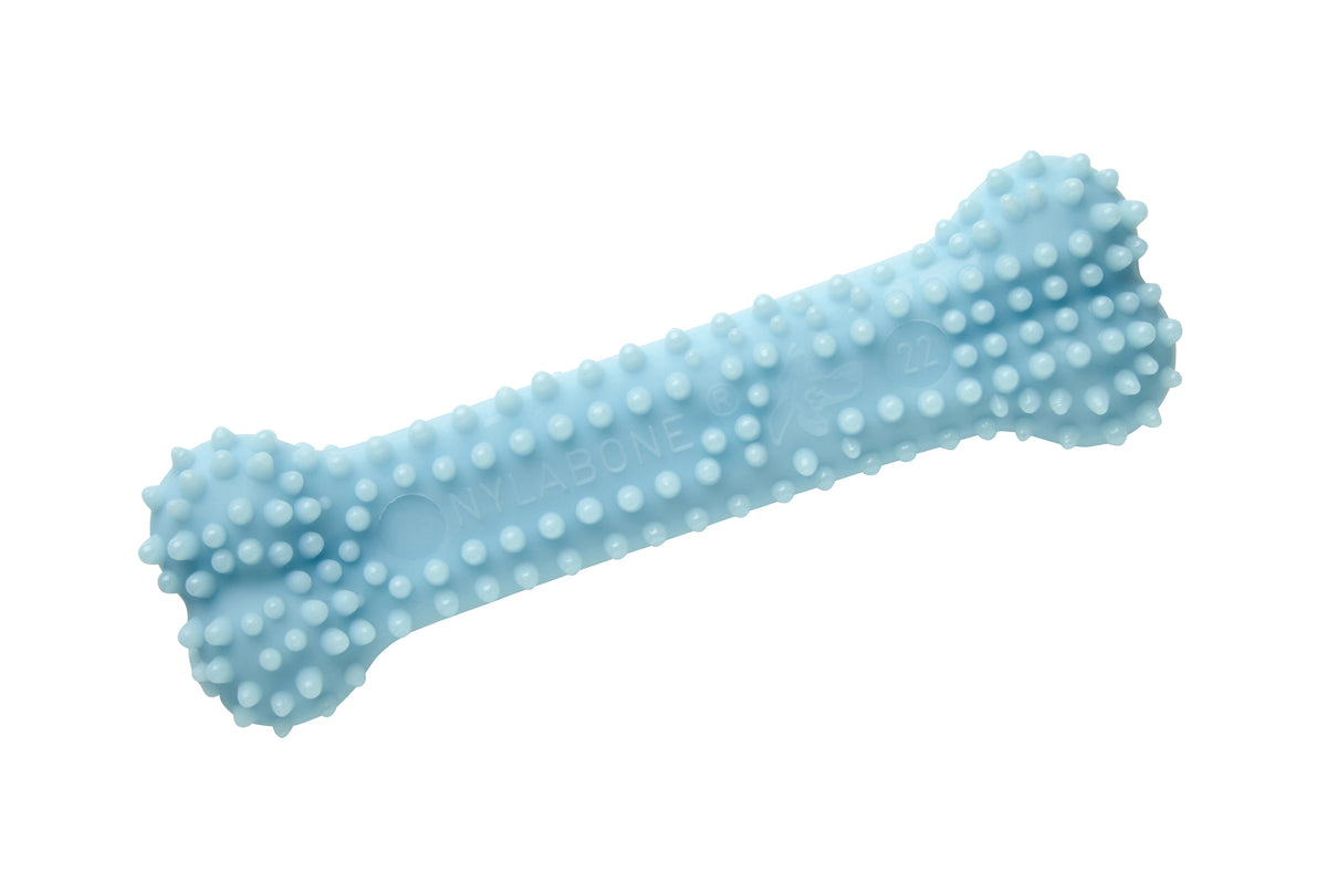 Nylabone Puppy Teething Dental tuggleksak kyckling blå XS för valpar