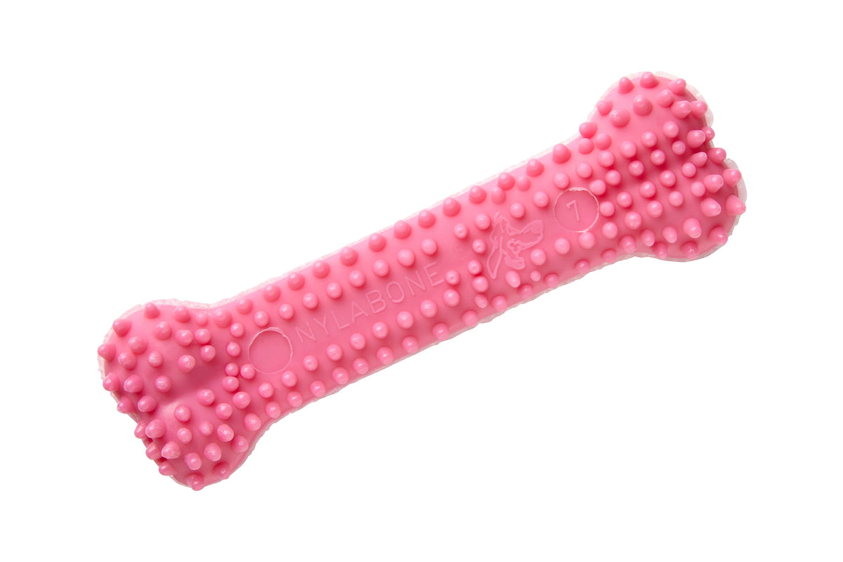 Nylabone Puppy Teething Dental tuggleksak kyckling rosa XS för valpar