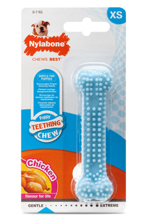 Nylabone Puppy Teething Dental tuggleksak kyckling blå XS för valpar