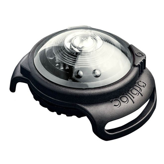 Orbiloc Dog Dual säkerhetslampa vit