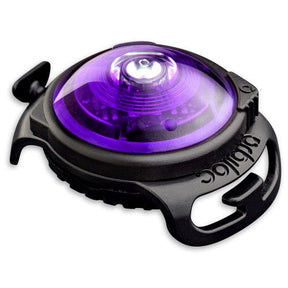 Orbiloc Dog Dual säkerhetslampa