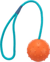 Trixie Ball with a string