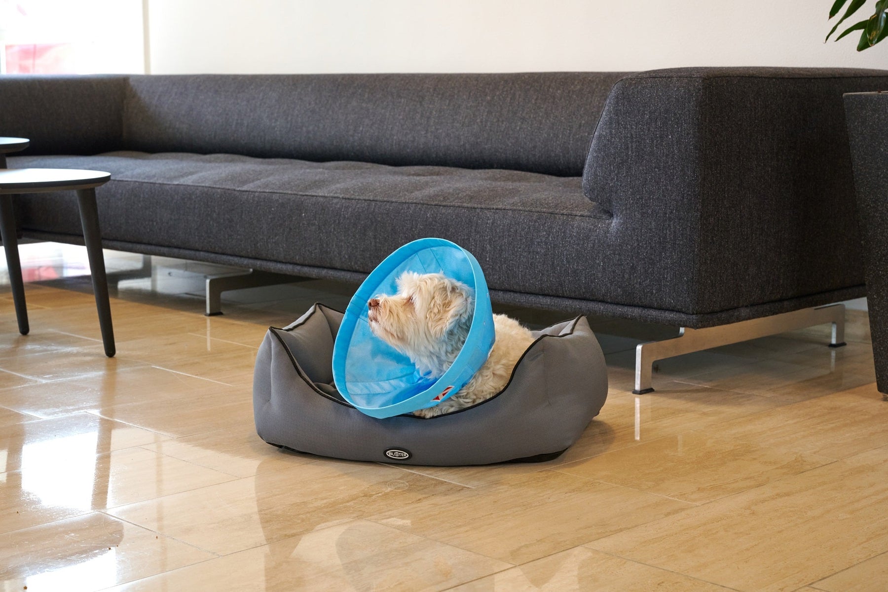 Buster Soft Flex Collar 7.5 cm