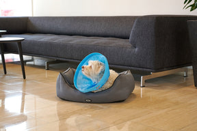 Buster Soft Flex Collar 7.5 cm
