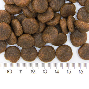 ProBooster Adult Hypoallergenic 12 kg för hundar