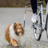 Trixie cykelfäste S-M
