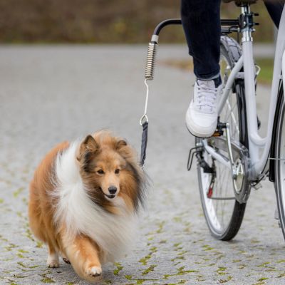 Trixie cykelfäste S-M

