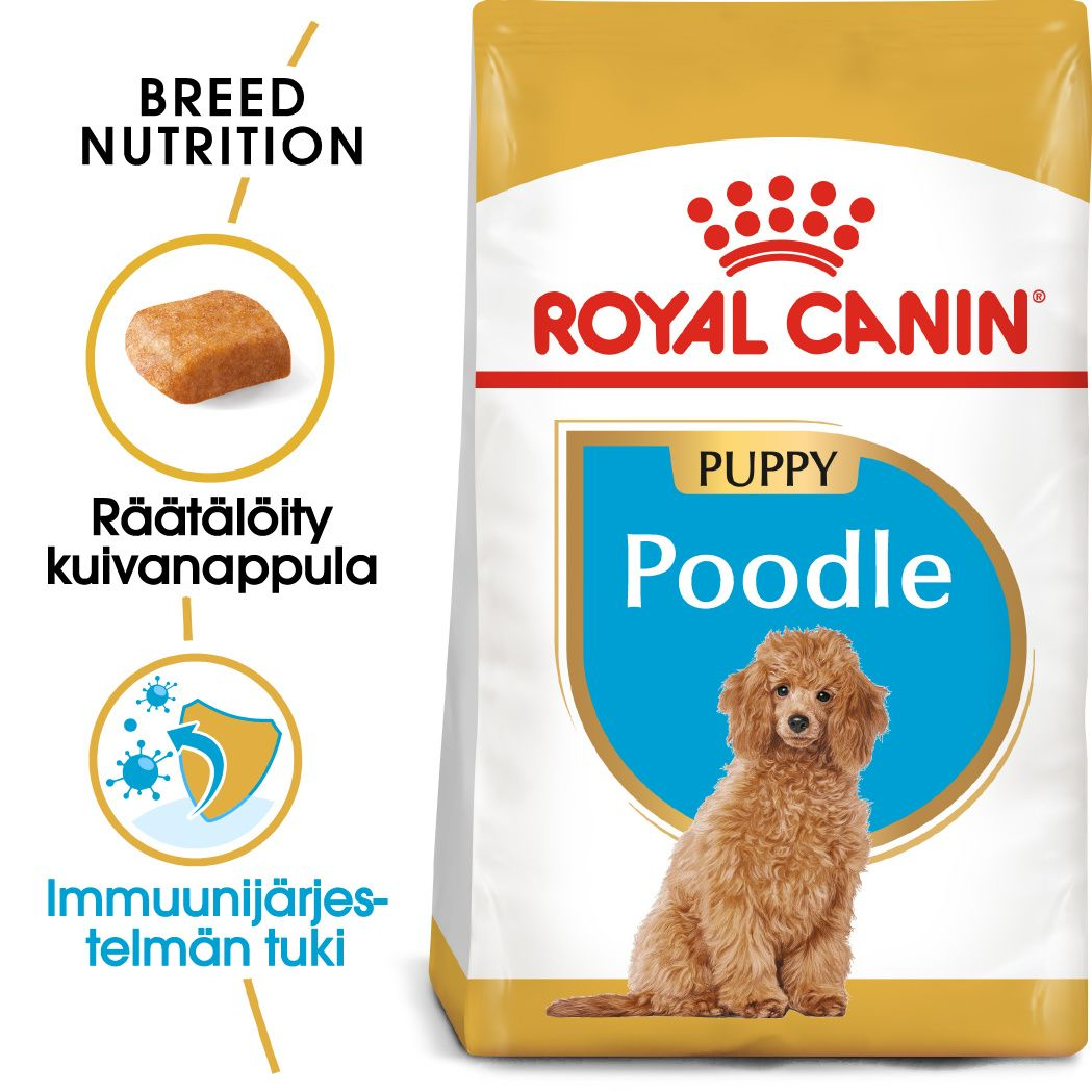 Royal Canin Poodle Puppy dry food for puppies 3 kg