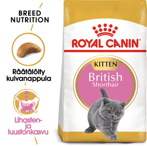 Royal Canin British Shorthair Kitten kuivtoit kassidele 2 kg