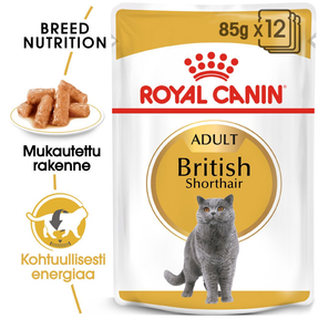 Royal Canin British Shorthair Adult våtfoder i sås 12 x 85 g för katter