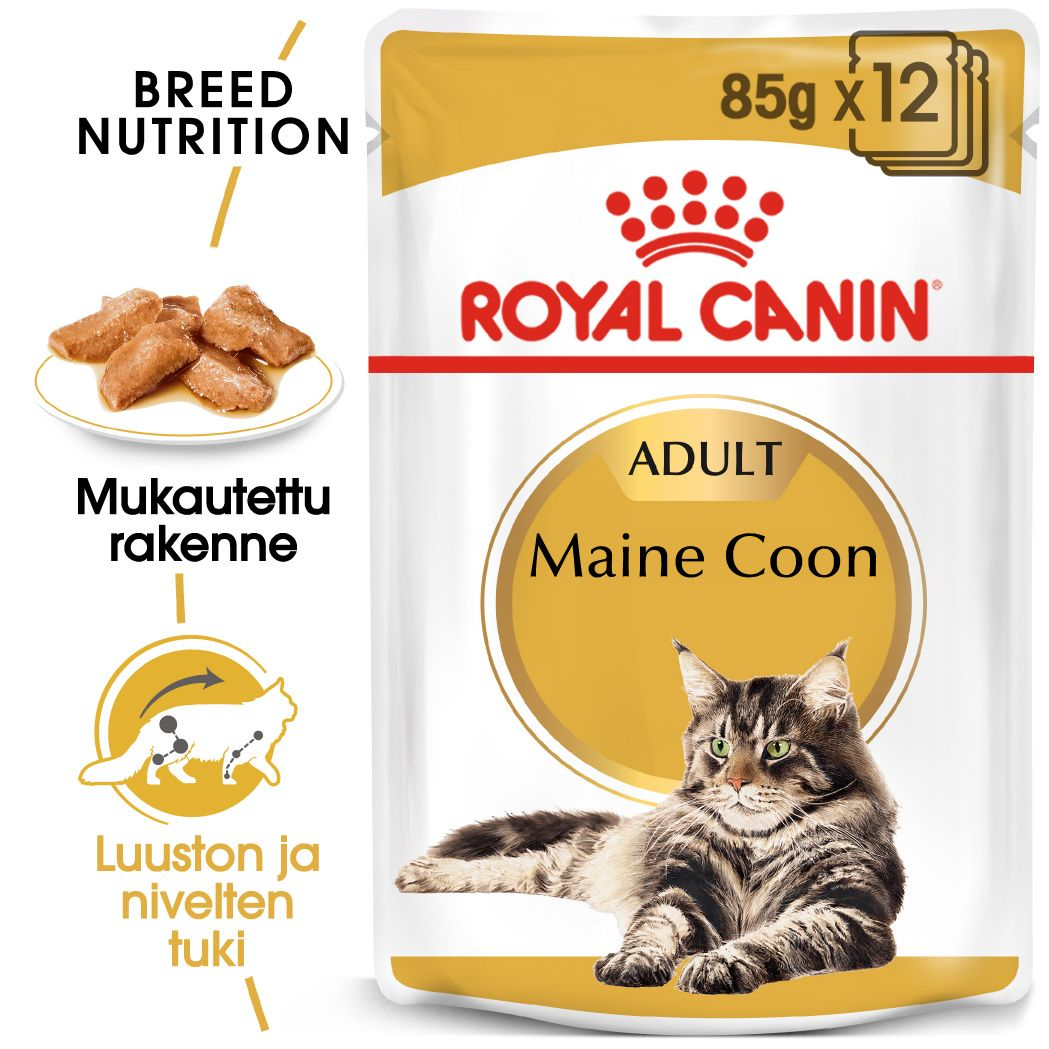 Royal Canin Maine Coon Adult 12 x 85 g för katter