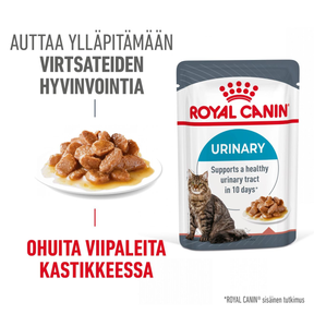 Royal Canin Urinary Care Gravy Adult wet food for cats 12x85 g