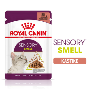 Royal Canin Sensory Smell Gravy katt 12 x 85 g