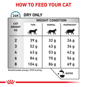 Royal Canin Veterinary Diets Derma Anallergenic torrfoder för katt 4 kg