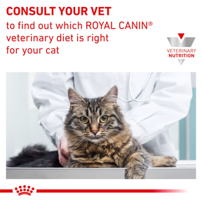 Royal Canin Veterinary Diets Derma Anallergenic torrfoder för katt 4 kg