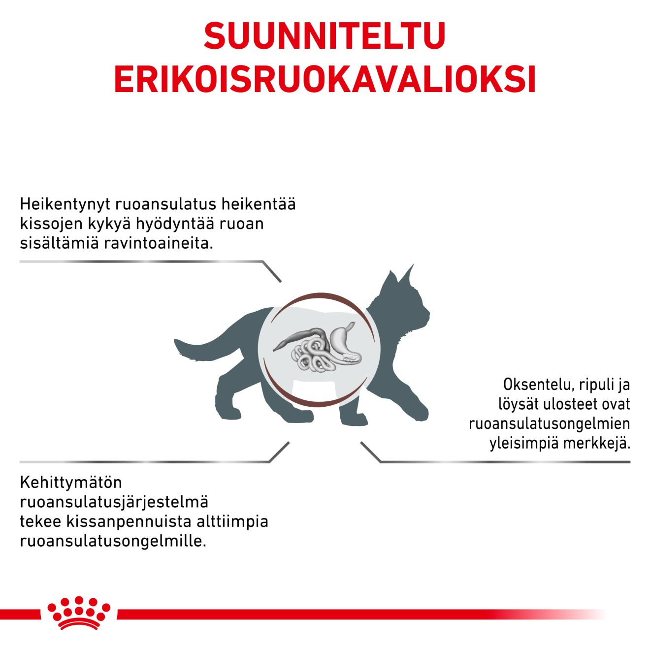 Royal Canin Veterinary Diets Gastrointestinal Kitten torrfoder 2 kg för katter