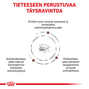 Royal Canin Veterinary Diets Gastrointestinal Kitten torrfoder 2 kg för katter