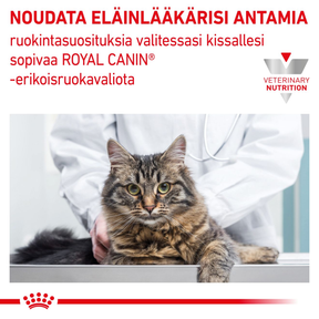 Royal Canin Veterinary Diets Gastrointestinal Kitten torrfoder 2 kg för katter