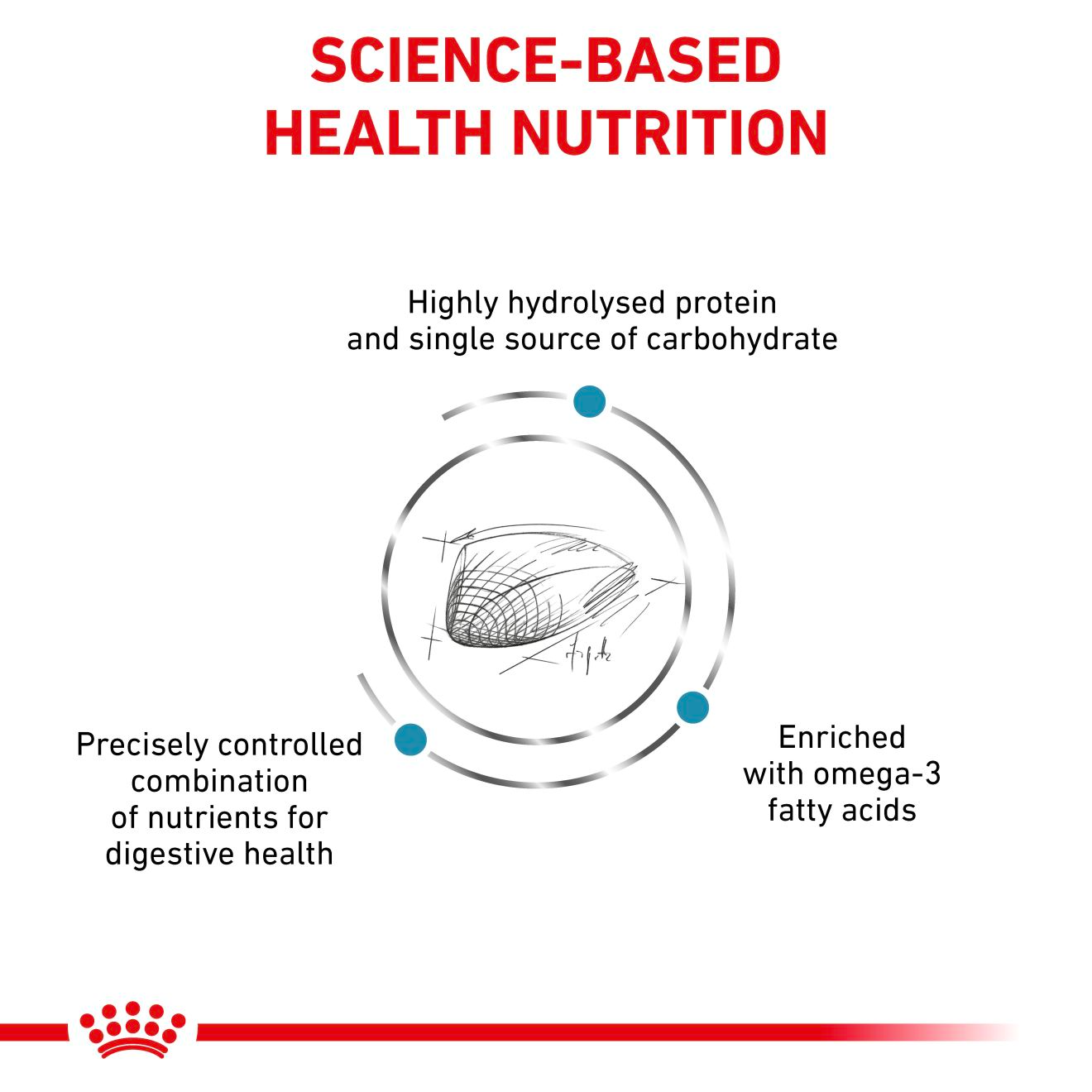 Royal Canin Veterinary Diets Derma Hypoallergenic kuivtoit kassidele 2 x 4,5 kg MULTIPAKK