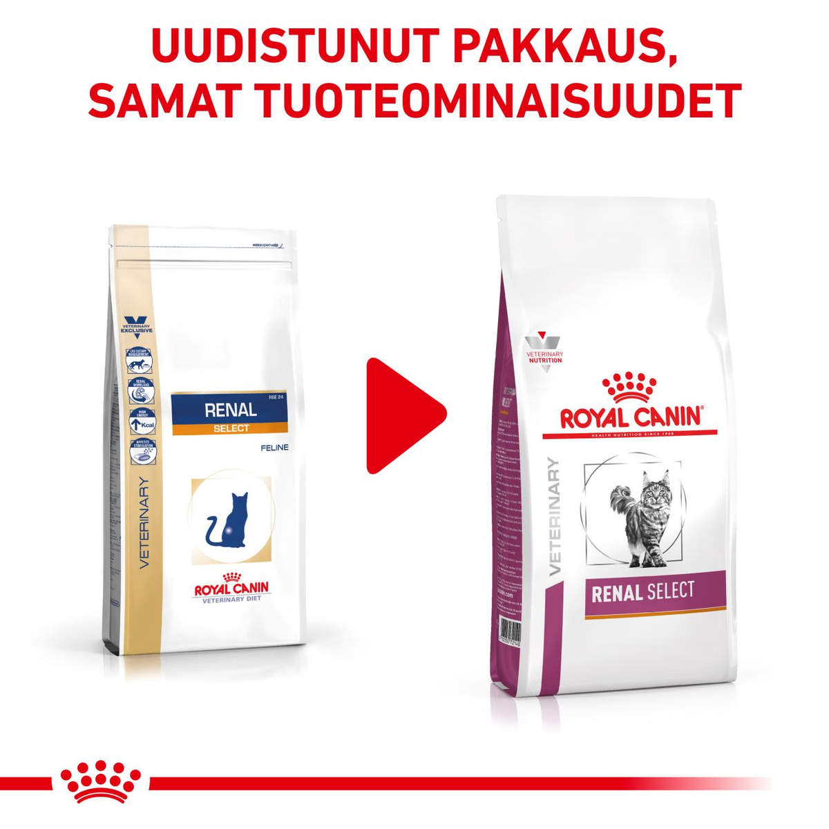 Royal Canin Veterinary Diets Renal Select dry food for cats 4 kg