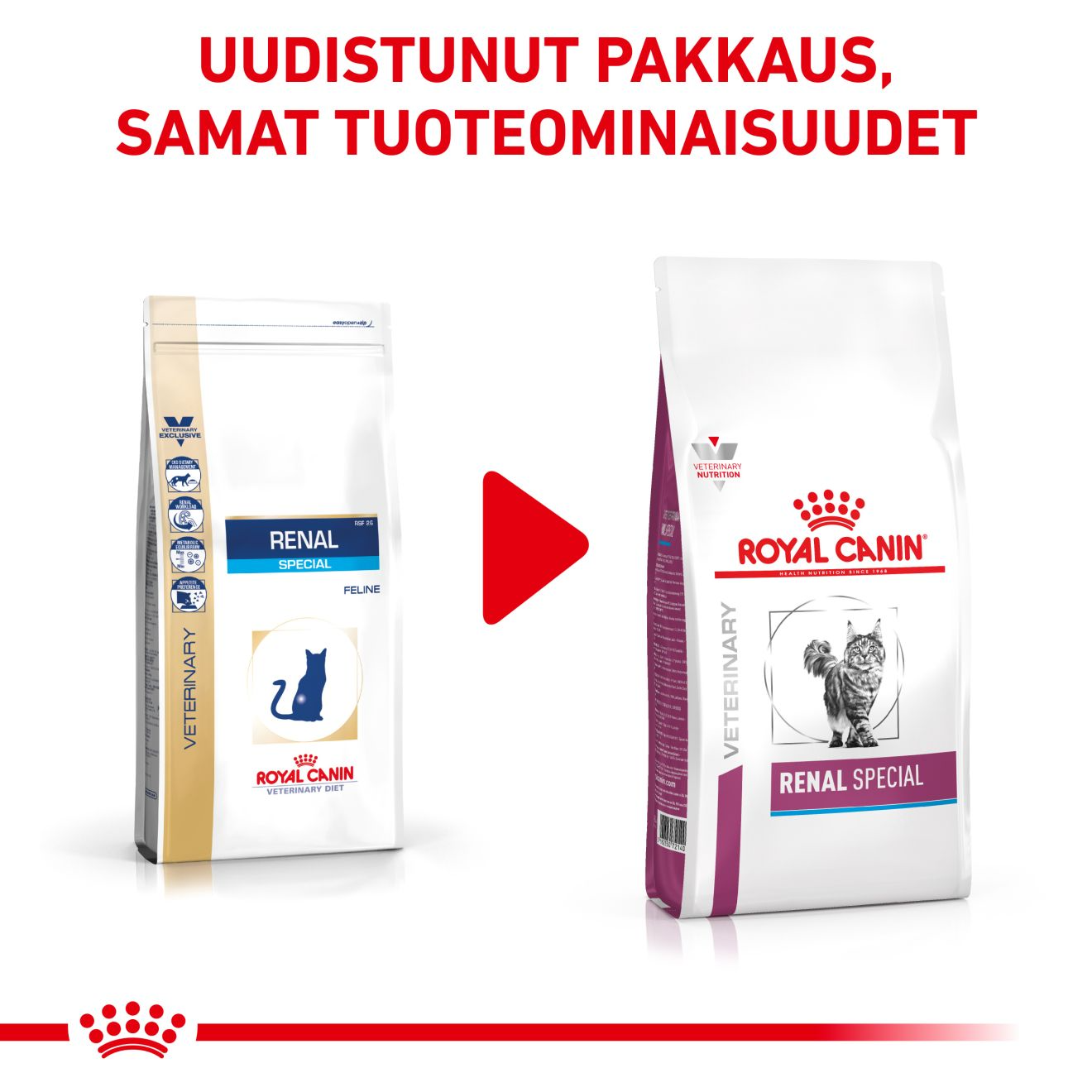Royal Canin Veterinary Diets Renal Special dry food for cats