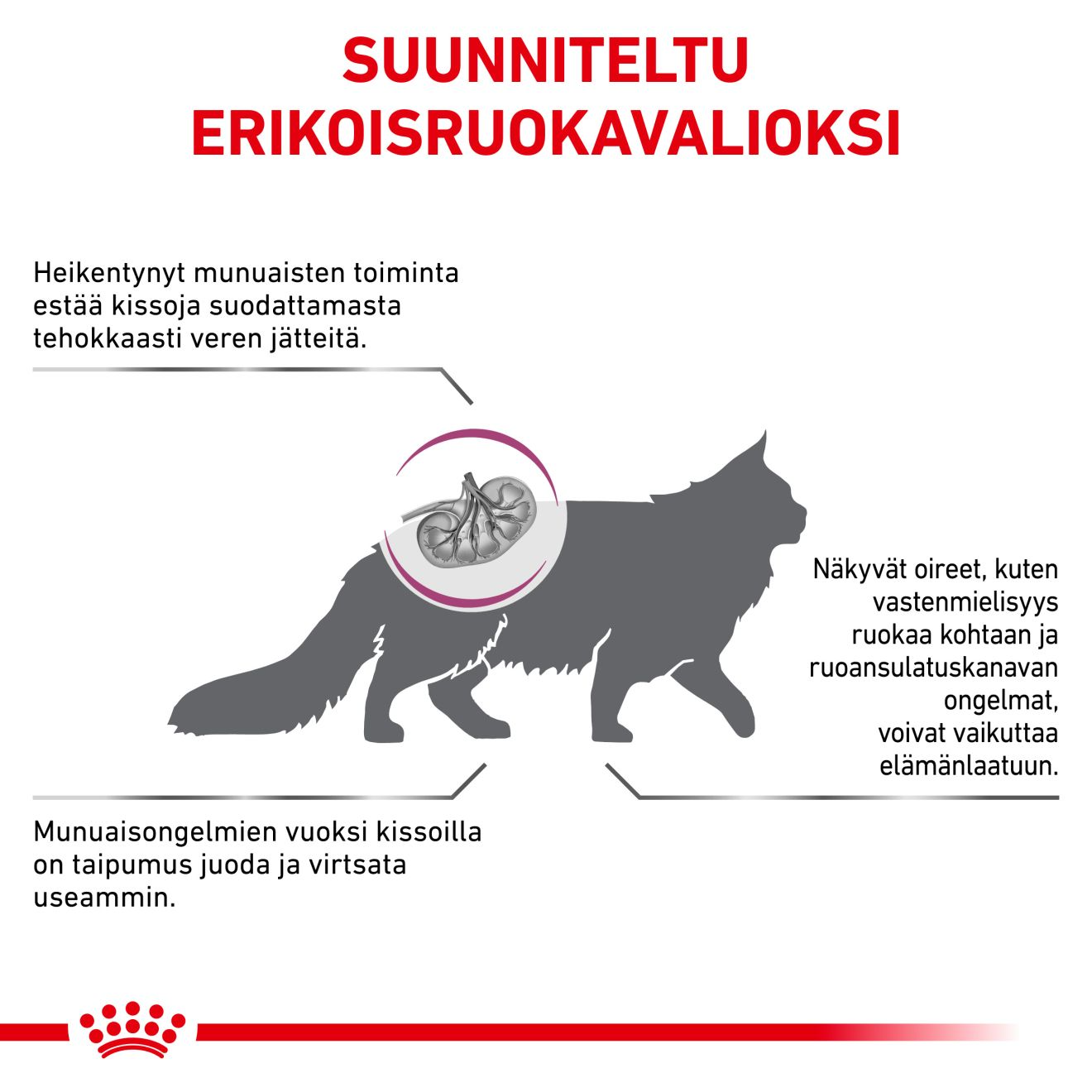 Royal Canin Veterinary Diets Renal Special dry food for cats