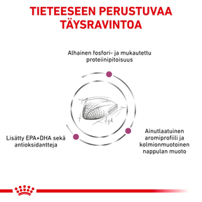 Royal Canin Veterinary Diets Renal Special dry food for cats