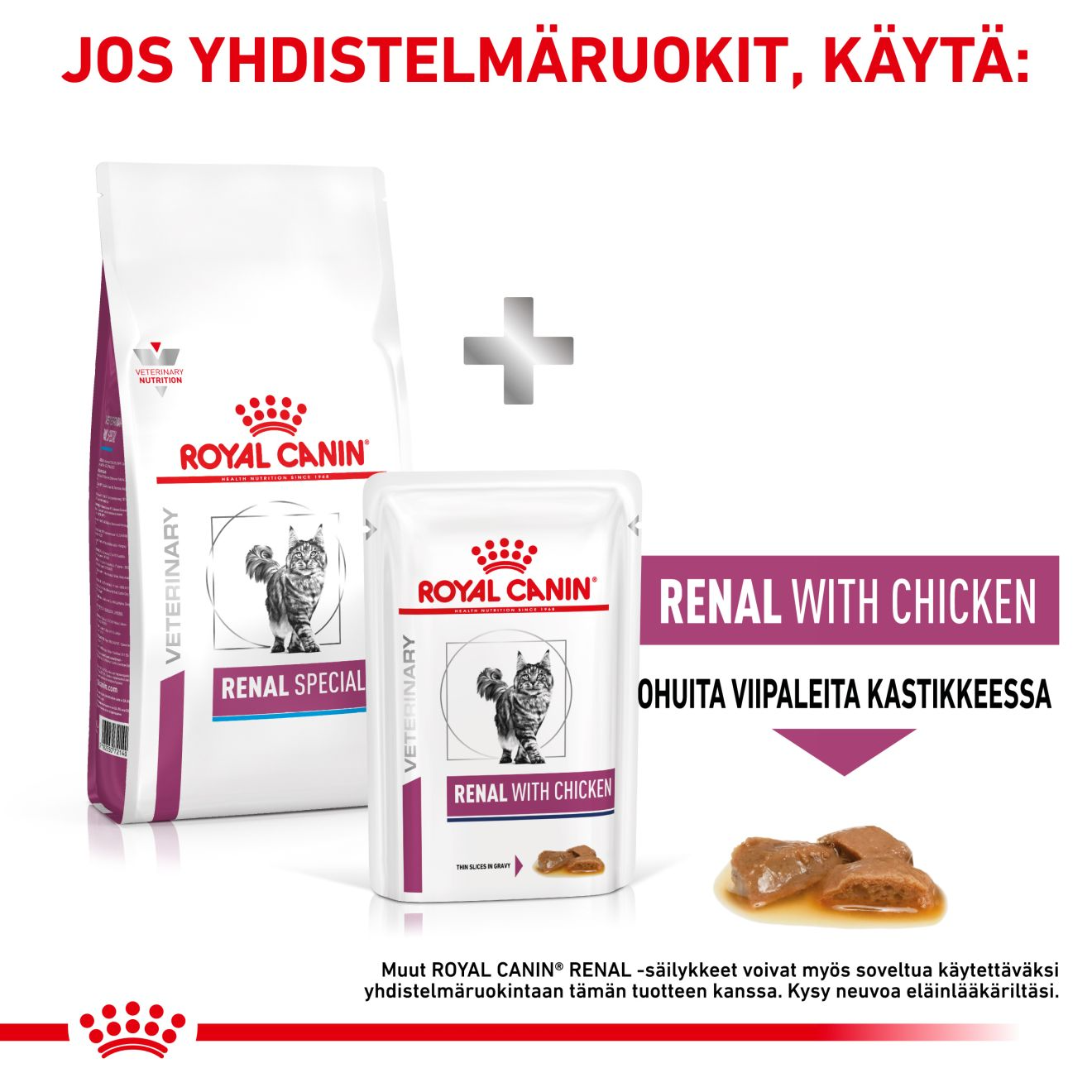 Royal Canin Veterinary Diets Renal Special dry food for cats
