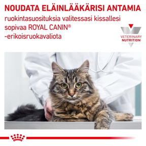 Royal Canin Veterinary Diets Renal Special dry food for cats