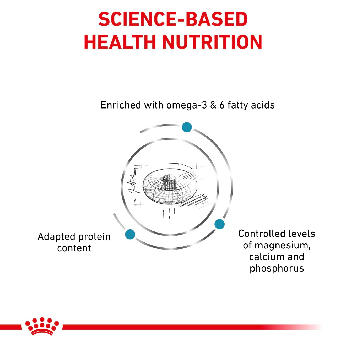 Royal Canin Veterinary Diets Derma Skin & Coat torrfoder 3,5 kg för katter