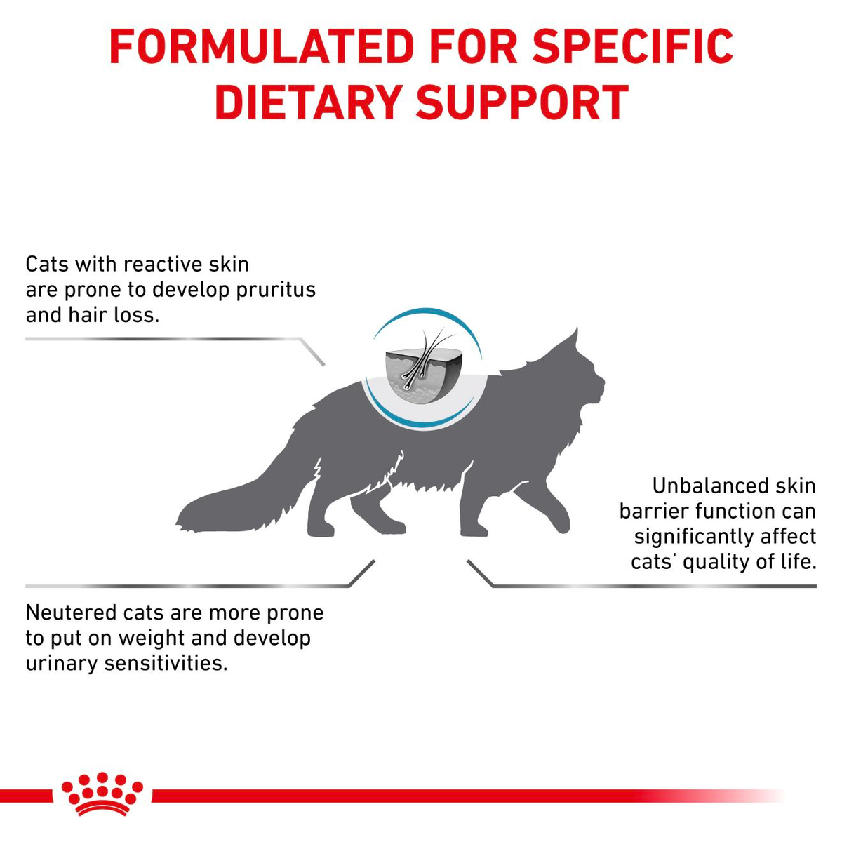 Royal Canin Veterinary Diets Derma Skin & Coat Cat Dry Food 1.5 kg
