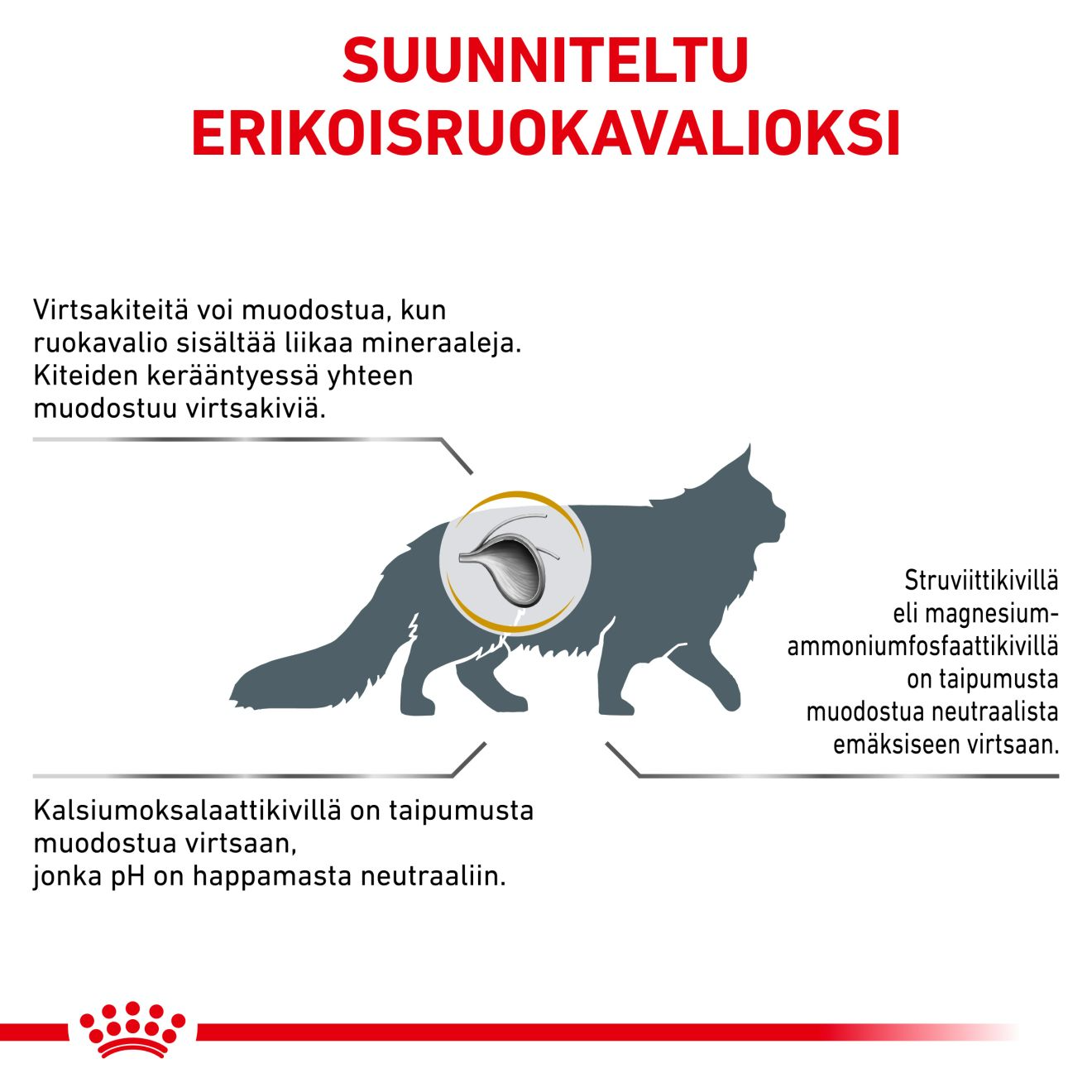 Royal Canin Veterinary Diets Urinary S/O torrfoder för katt 1,5 kg