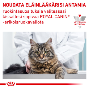 Royal Canin Veterinary Diets Urinary S/O Moderate Calorie torrfoder för katt 1,5 kg
