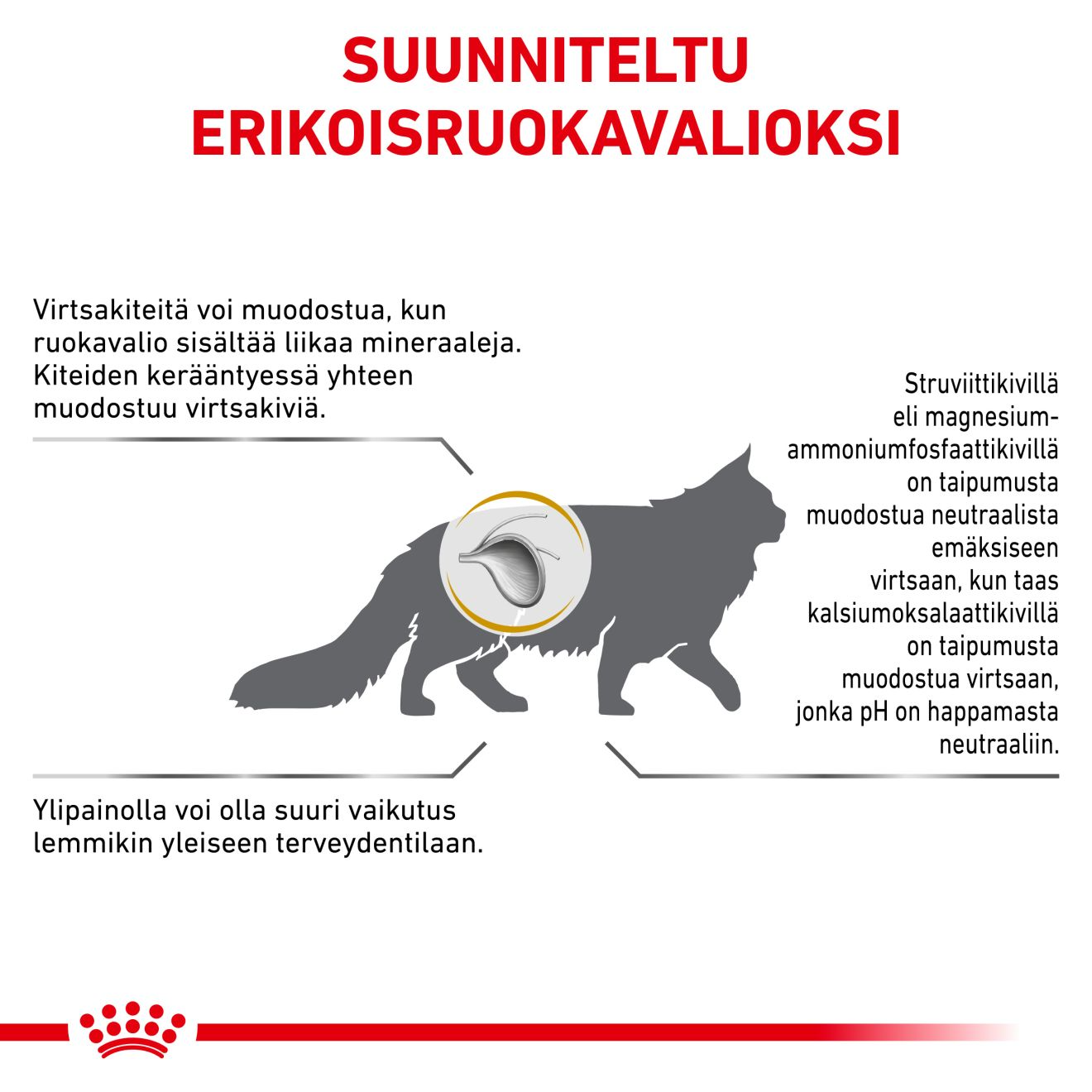 Royal Canin Veterinary Diets Urinary S/O Moderate Calorie torrfoder för katt 7 kg