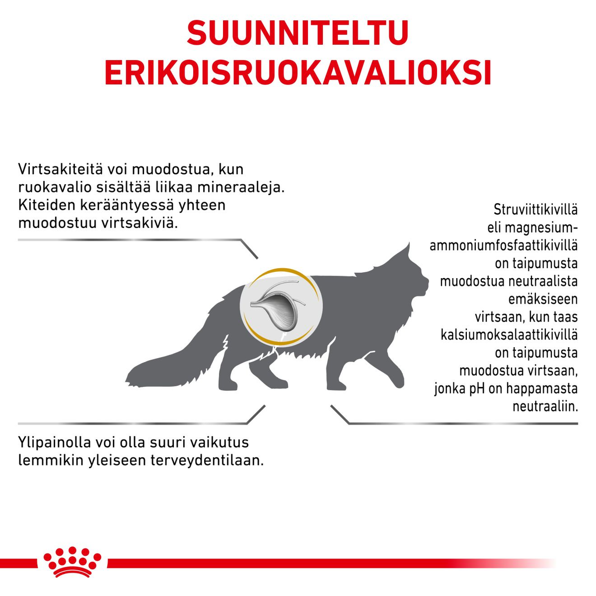 Royal Canin Veterinary Diets Urinary S/O Moderate Calorie dry cat food